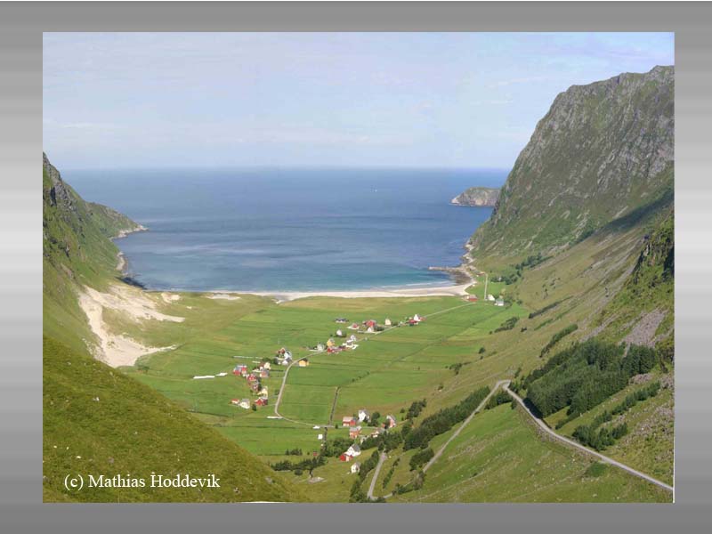 Hoddevik